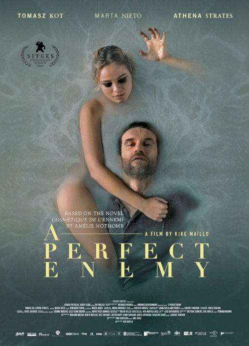 A Perfect Enemy A Perfect Enemy