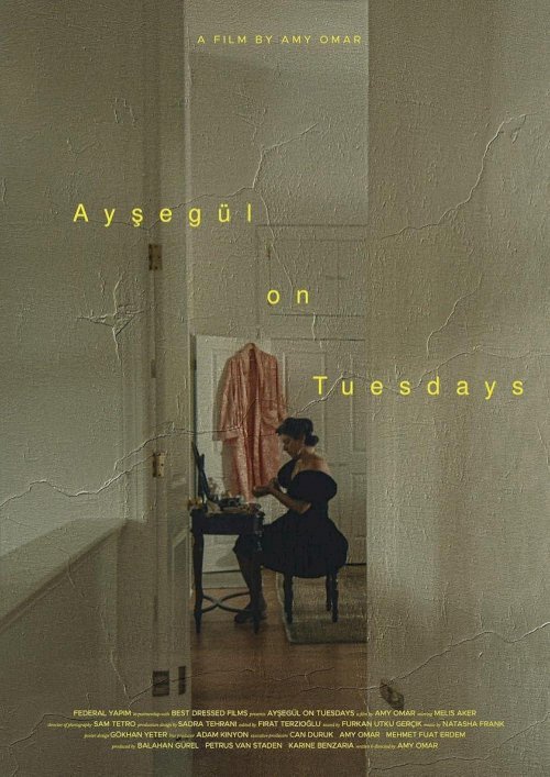 Ayşegül on Tuesdays Ayşegül on Tuesdays
