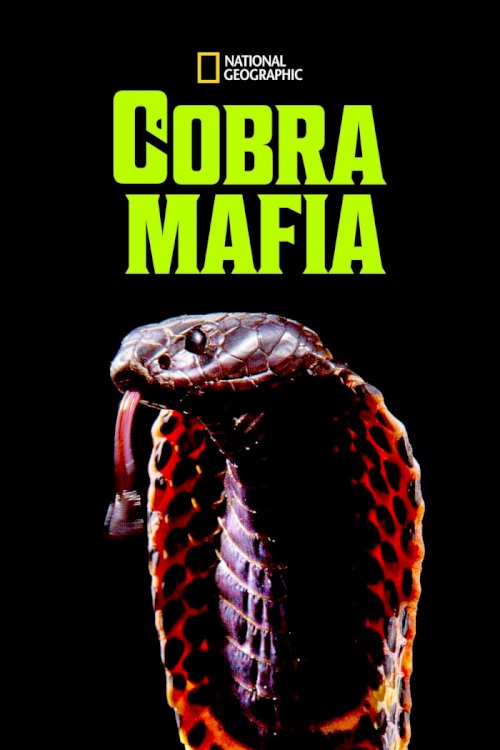 Cobra Mafia Cobra Mafia