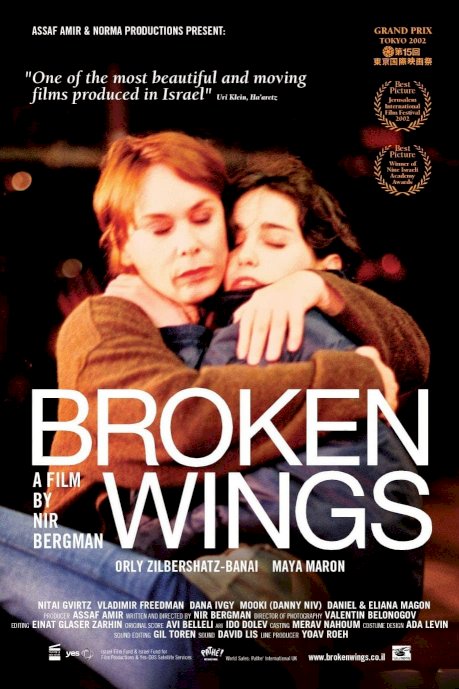 Broken Wings Broken Wings