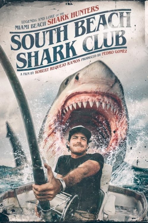 South Beach Shark Club South Beach Shark Club