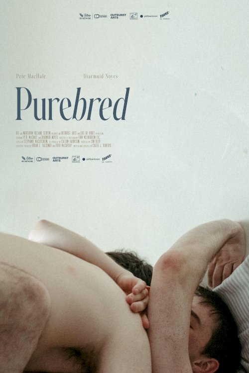 Purebred Purebred