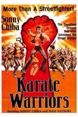 Karate Warriors Karate Warriors
