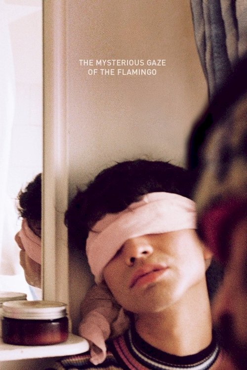 The Mysterious Gaze of the Flamingo The Mysterious Gaze of the Flamingo
