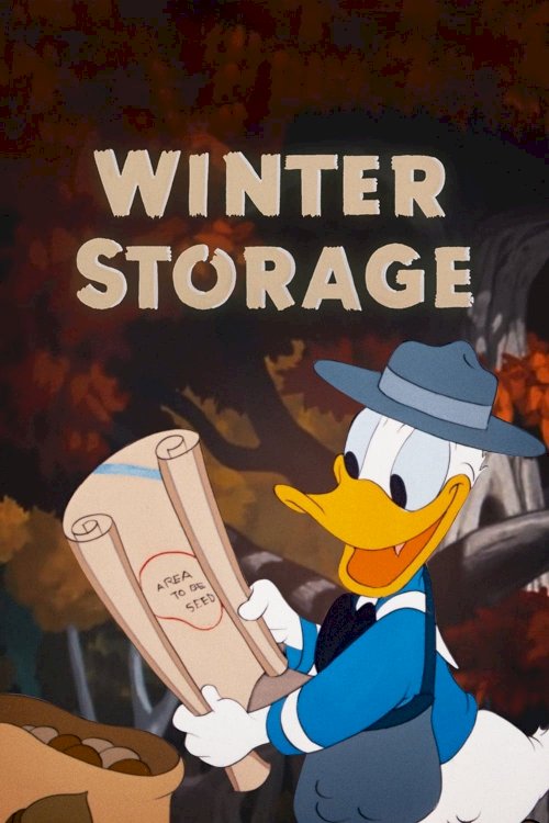 Winter Storage Winter Storage