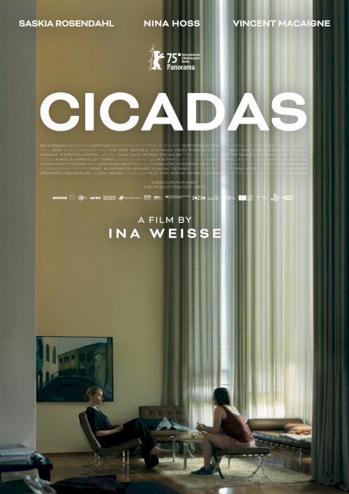 Cicadas Cicadas