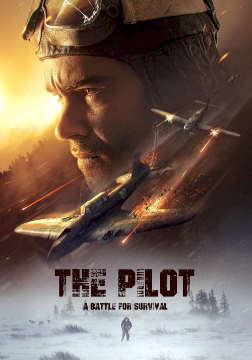 The Pilot: A Battle for Survival The Pilot: A Battle for Survival