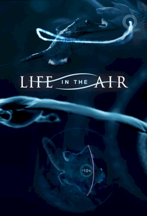 Life in the Air Life in the Air