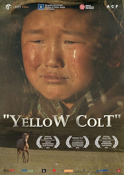 Yellow Colt Yellow Colt
