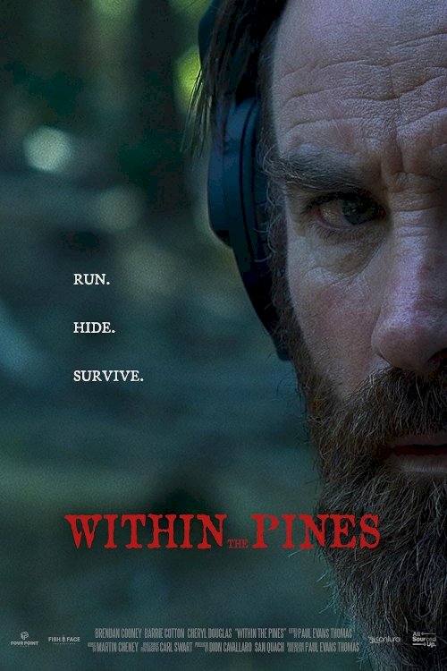 Within the Pines Within the Pines