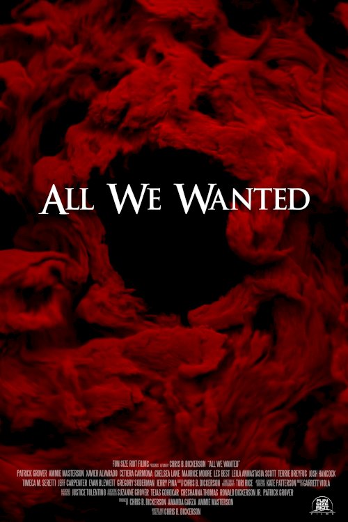 All We Wanted All We Wanted