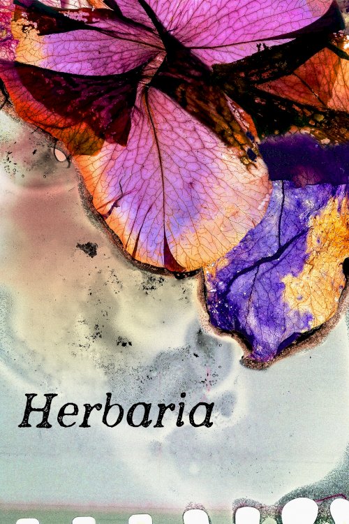 Herbaria Herbaria