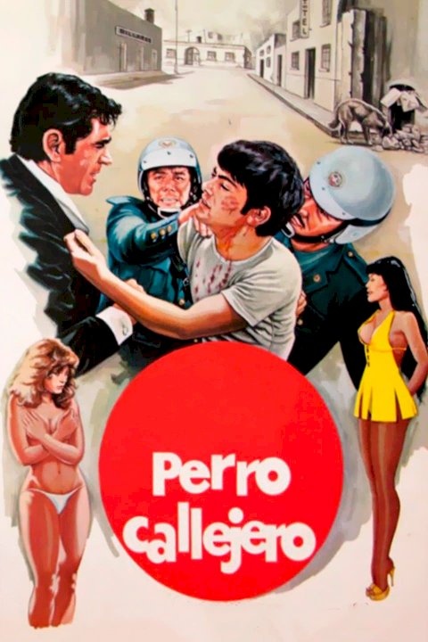 Perro callejero Perro callejero
