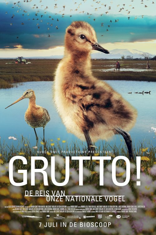 Grutto! De reis van onze nationale vogel Grutto! De reis van onze nationale vogel
