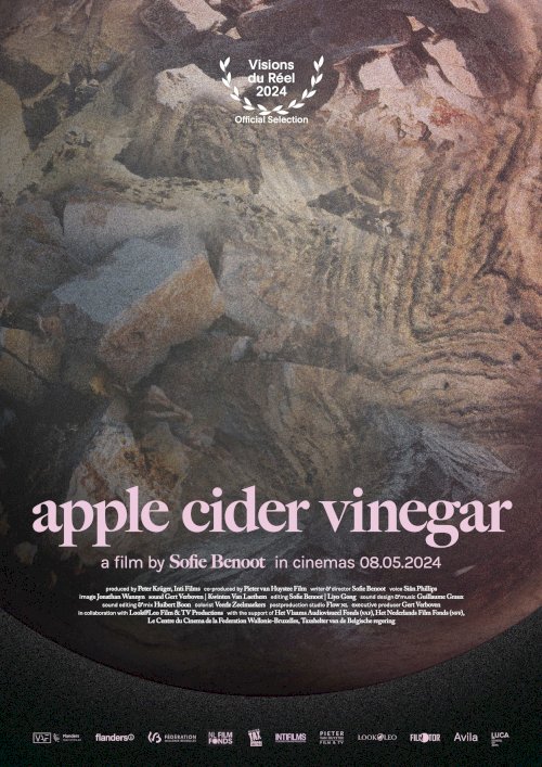 Apple Cider Vinegar Apple Cider Vinegar