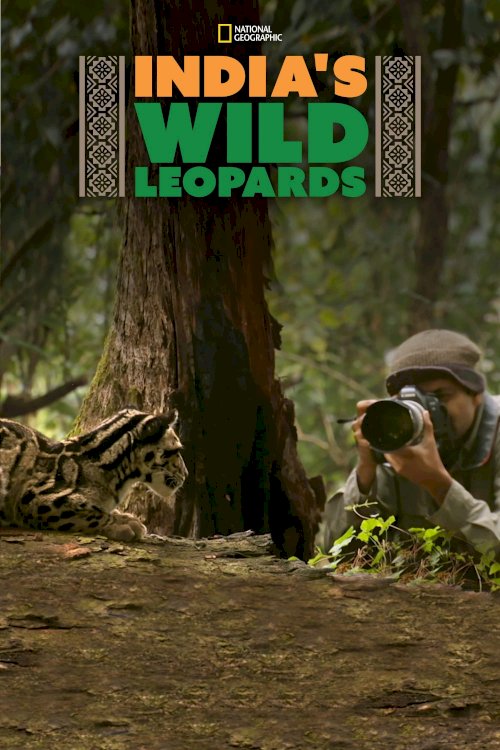 India's Wild Leopards India's Wild Leopards