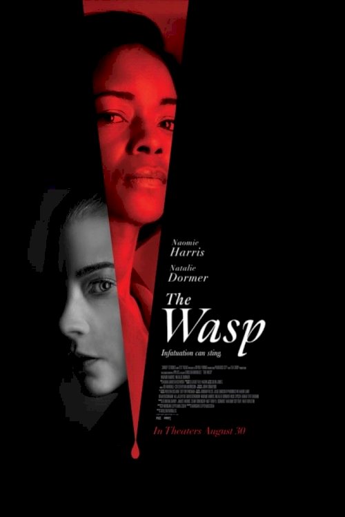 The Wasp The Wasp