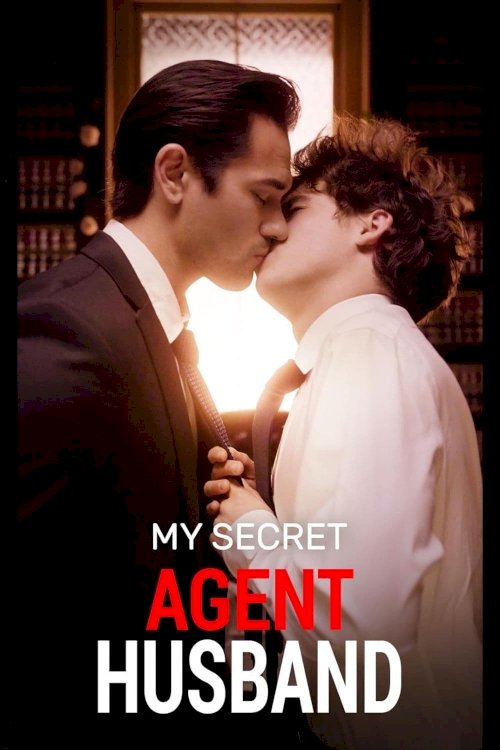 My Secret Agent Husband My Secret Agent Husband