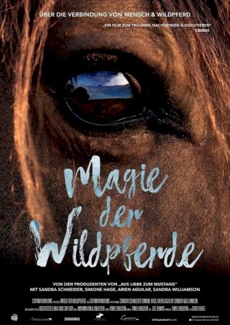 Magic of the Wild Horses Magic of the Wild Horses