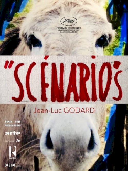 Scénarios Scénarios