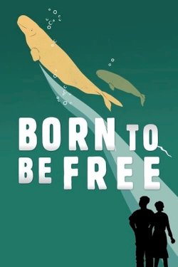 Born to Be Free Born to Be Free