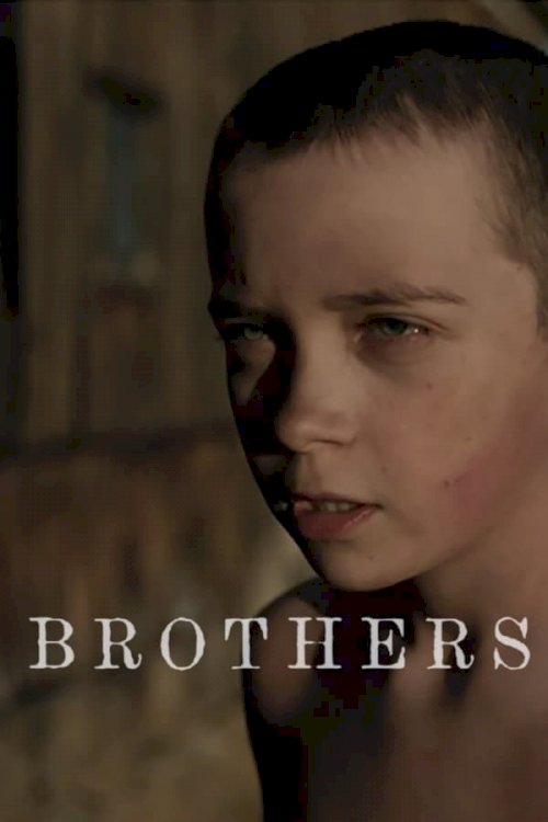 Brothers Brothers