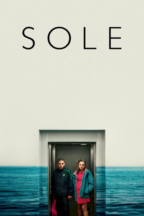 Sole Sole