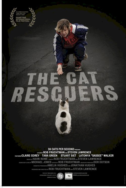 The Cat Rescuers The Cat Rescuers
