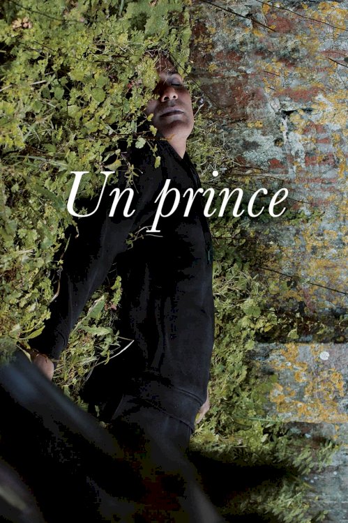 A Prince A Prince