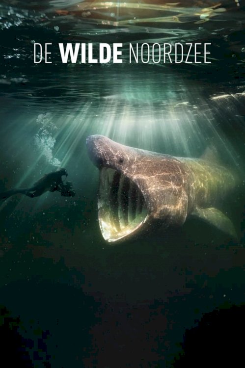 North Sea – Nature Untamed North Sea – Nature Untamed