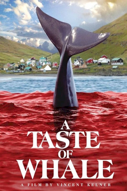 A Taste of Whale A Taste of Whale