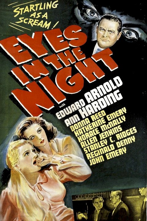 Eyes in the Night Eyes in the Night