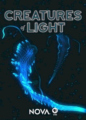 Creatures of Light Creatures of Light