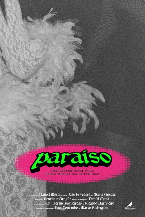 Paradise Paradise