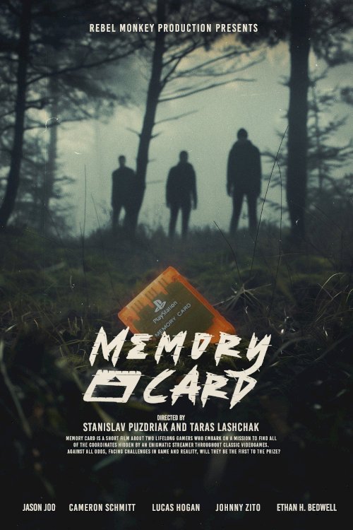 Memory Card Memory Card