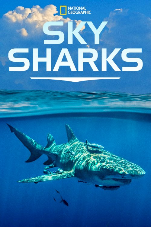 Sky Sharks Sky Sharks