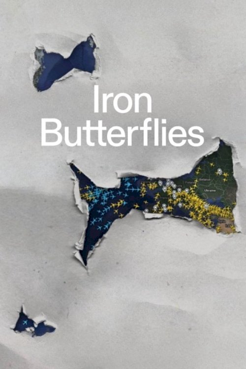 Iron Butterflies Iron Butterflies