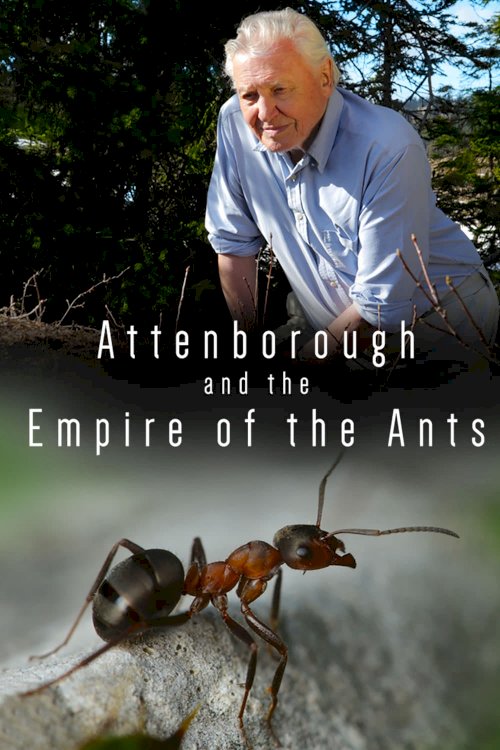 Attenborough and the Empire of the Ants