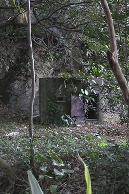 Singing in the Dark: Erasing the Disabled of Okinawa