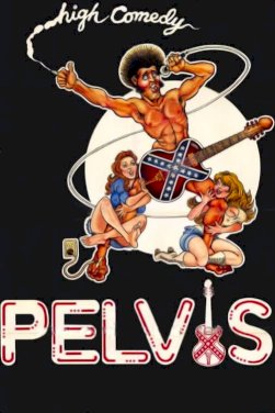 Pelvis Pelvis