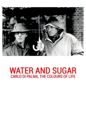 Water and Sugar: Carlo Di Palma, the Colours of Life Water and Sugar: Carlo Di Palma, the Colours of Life