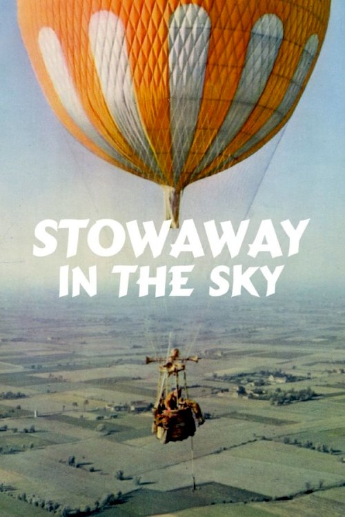 Stowaway in the Sky Stowaway in the Sky