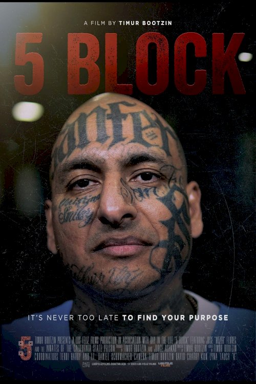 5 Block 5 Block