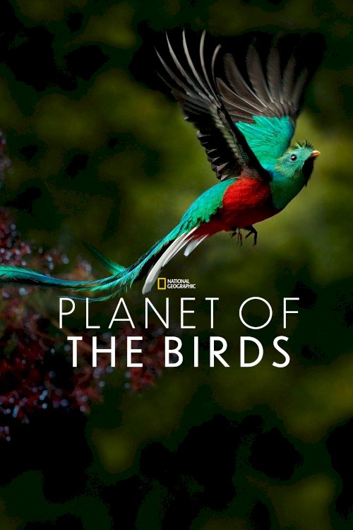 Planet of the Birds Planet of the Birds
