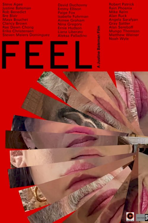 FEEL FEEL