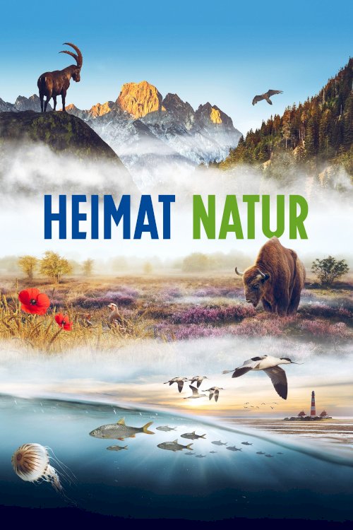 Homeland Nature Homeland Nature