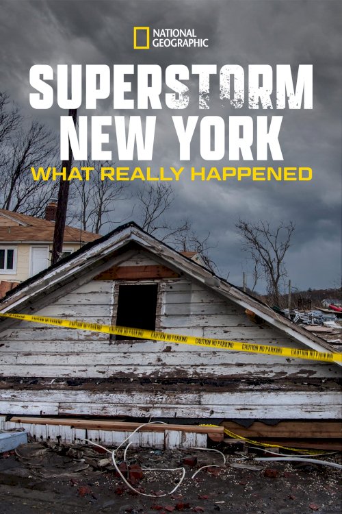 Superstorm New York: What Really Happened Superstorm New York: What Really Happened