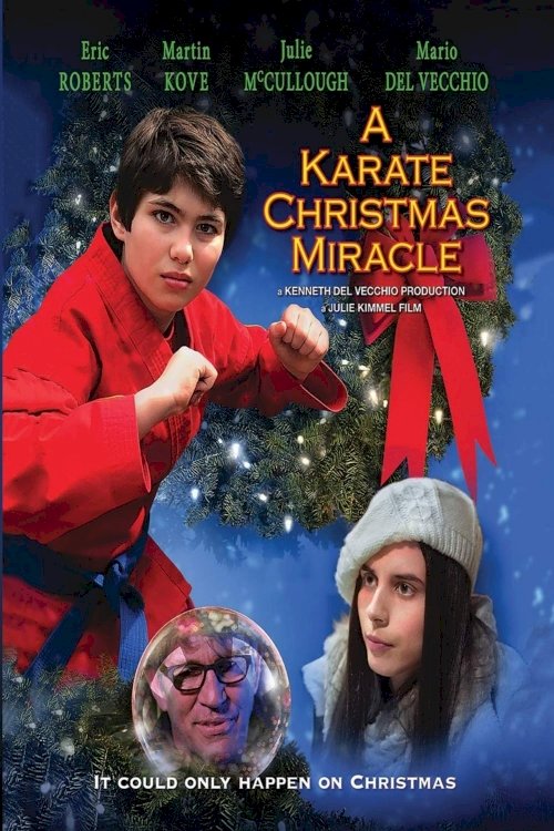 A Karate Christmas Miracle A Karate Christmas Miracle