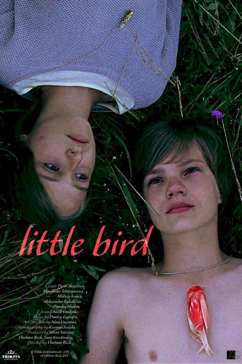 Little Bird Little Bird