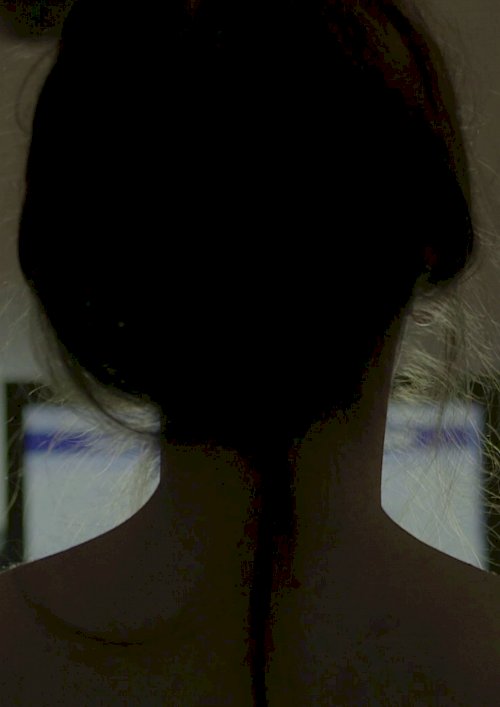 The Last Portrait